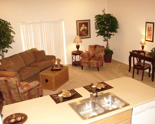 Example of Customized Living Room